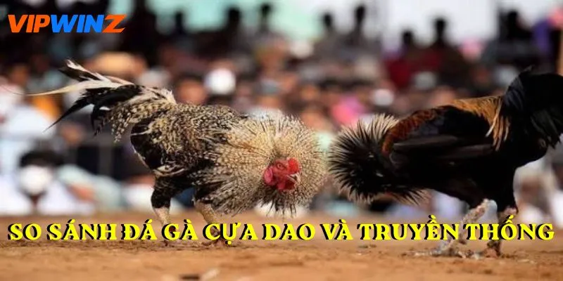 So sánh đá gà cựa dao và truyền thống