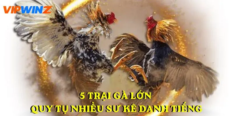 5 trại gà lớn quy tụ nhiều sư kê danh tiếng