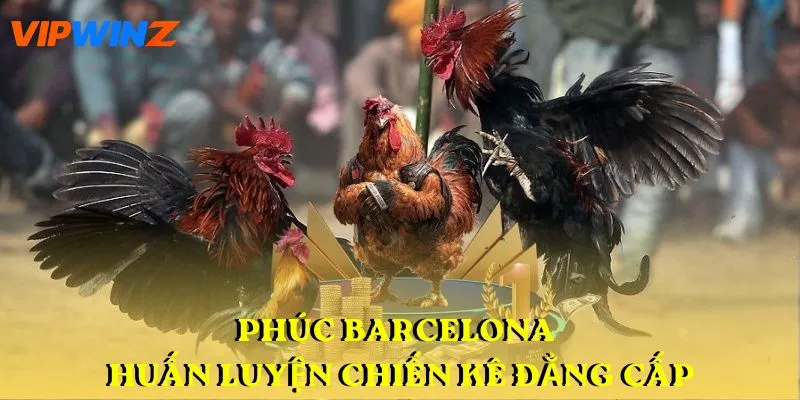 Phúc Barcelona huấn luyện chiến kê đẳng cấp