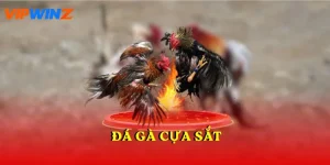 đá gà cựa sắt
