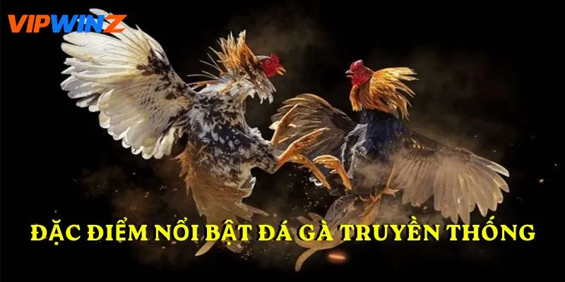 Đặc điểm nổi bật Đá gà truyền thống
